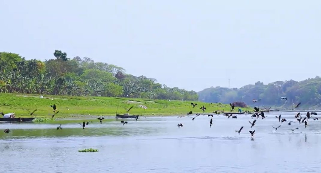 ধাঁধার চর: ছবি ৫
