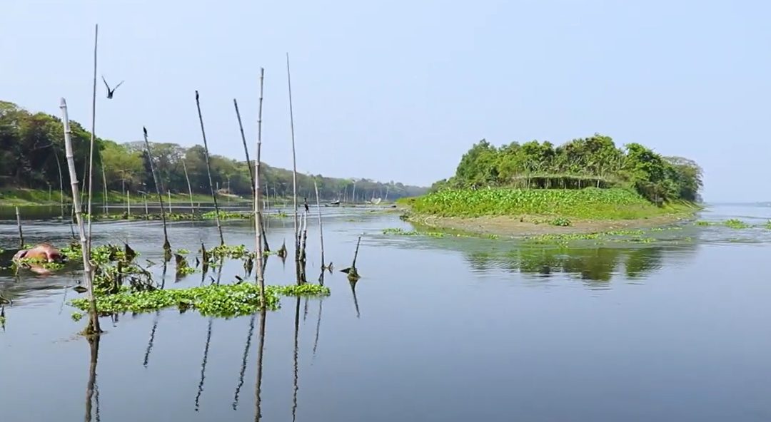 ধাঁধার চর: ছবি ৬