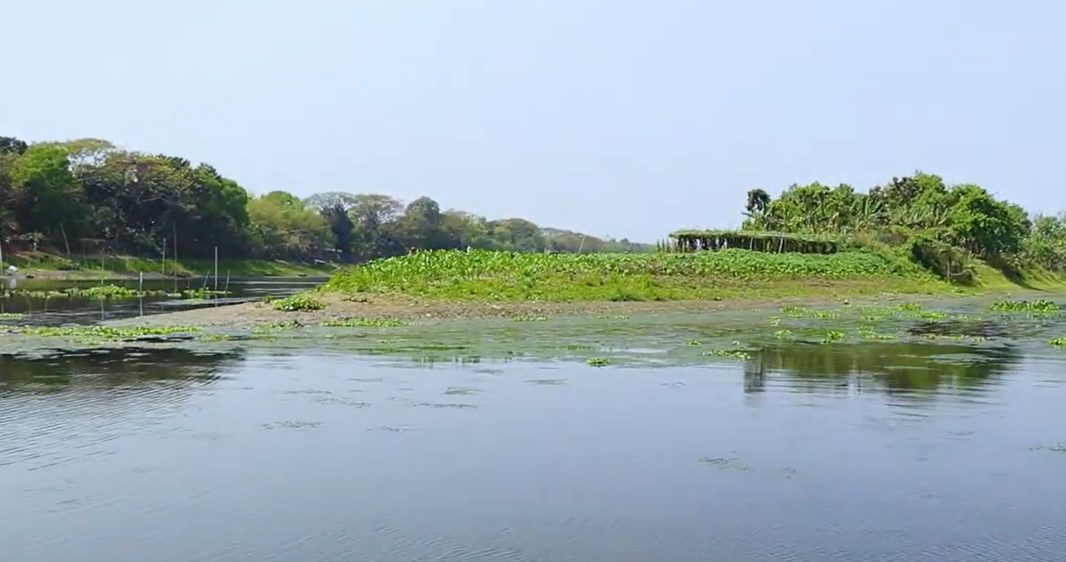 ধাঁধার চর: ছবি ৭