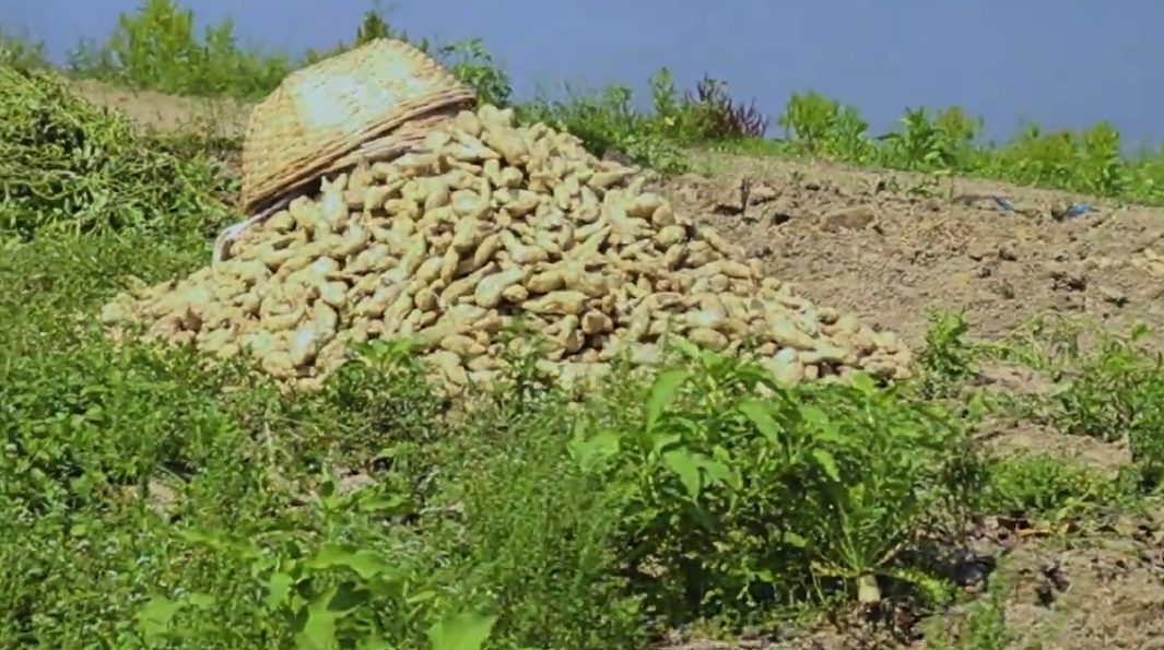 ধাঁধার চর: ছবি ৮