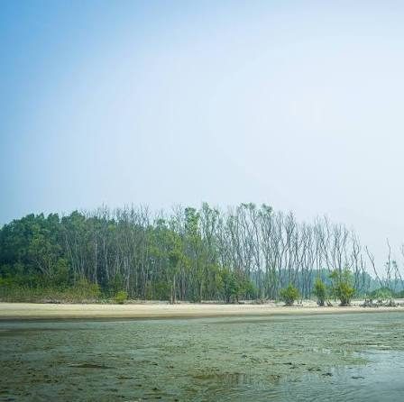 তারুয়া সমুদ্র সৈকত, ঢালচর, চরফ্যাশন, ভোলা