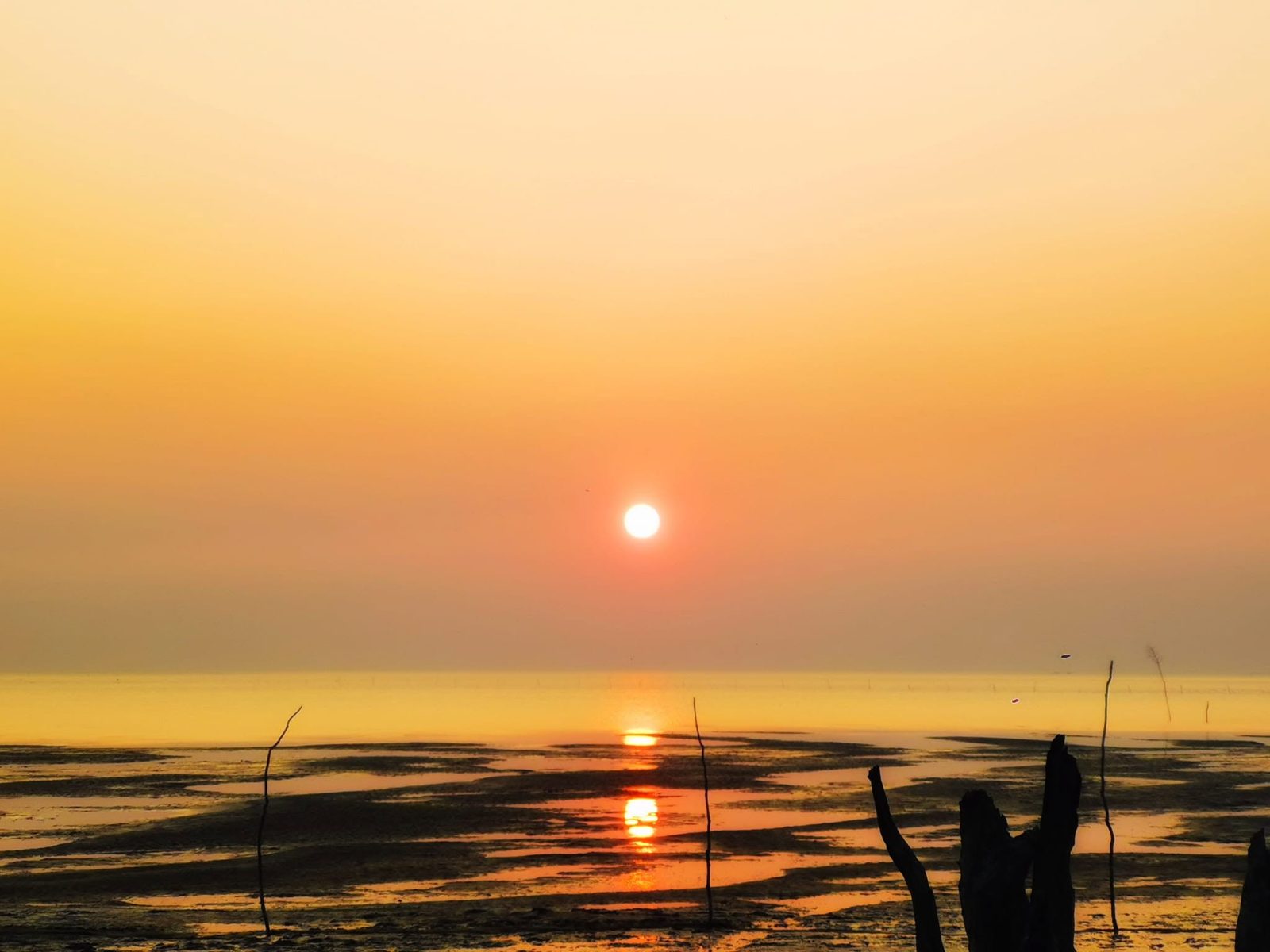 তারুয়া সমুদ্র সৈকত: ছবি ৩