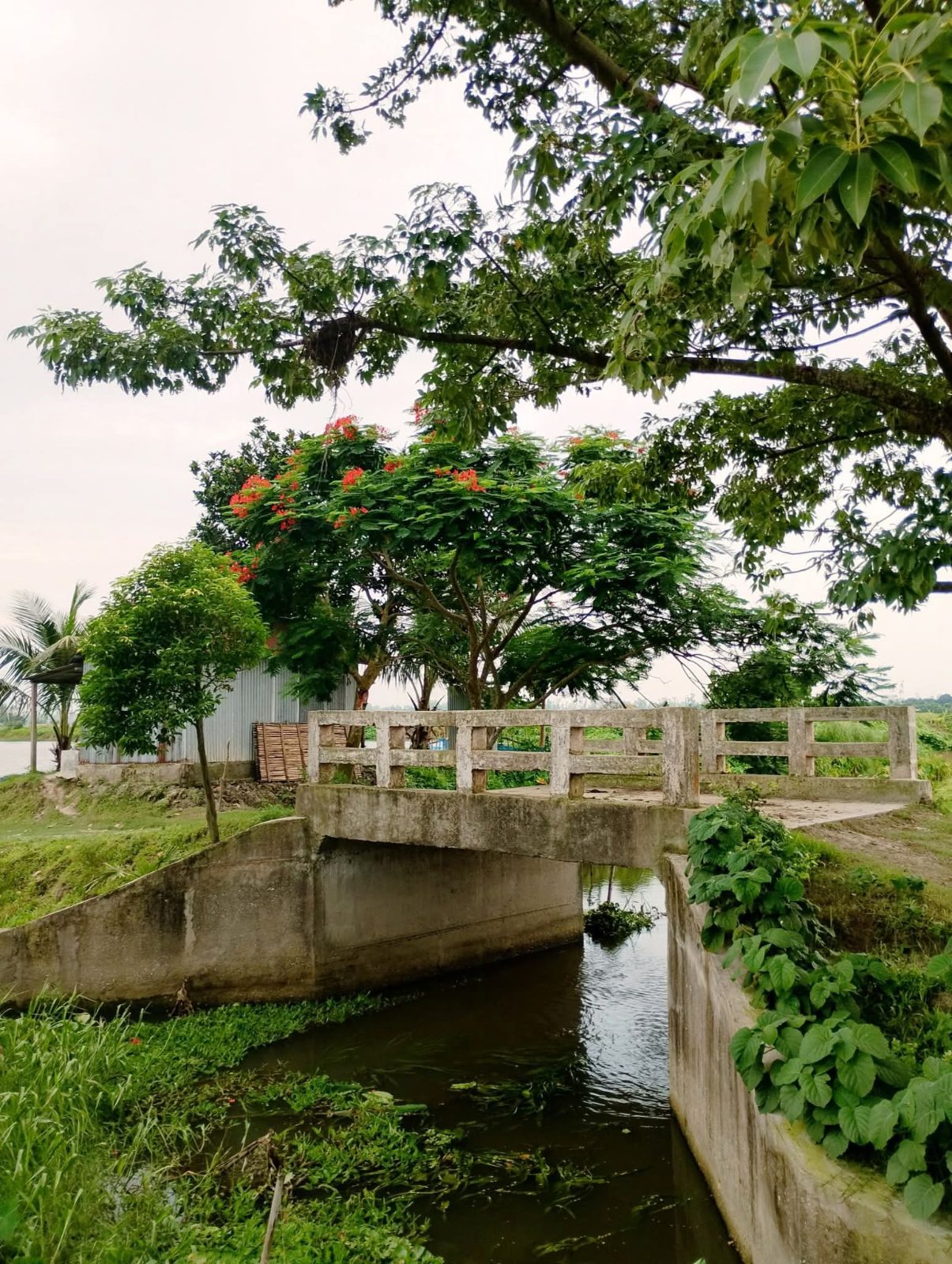 বেঁতুয়া ব্রীজ, সলঙ্গা, সিরাজগঞ্জ