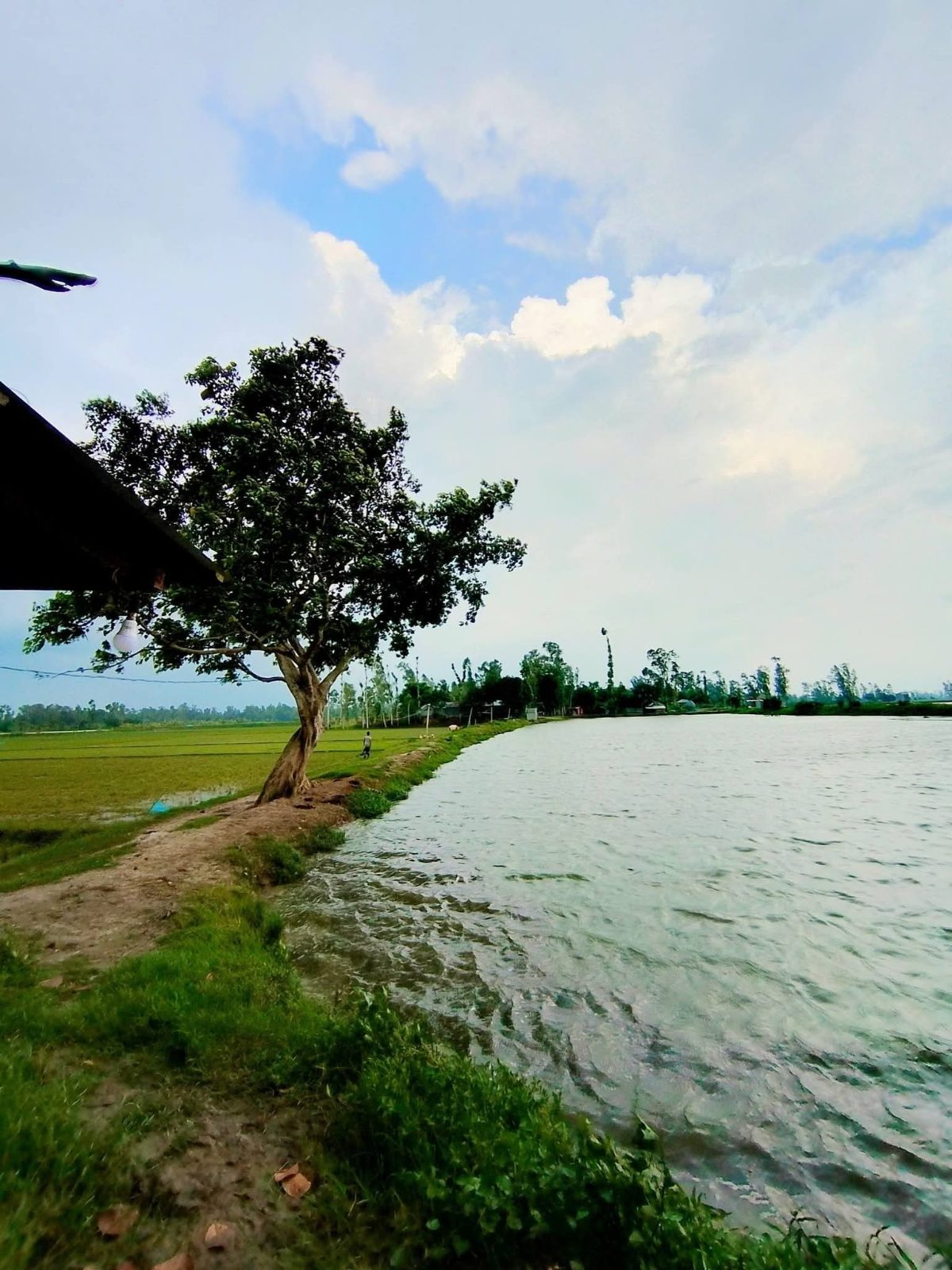 বেঁতুয়া ব্রীজ: ছবি ৩