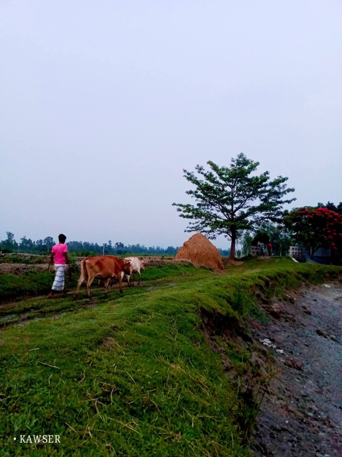 বেঁতুয়া ব্রীজ: ছবি ৭