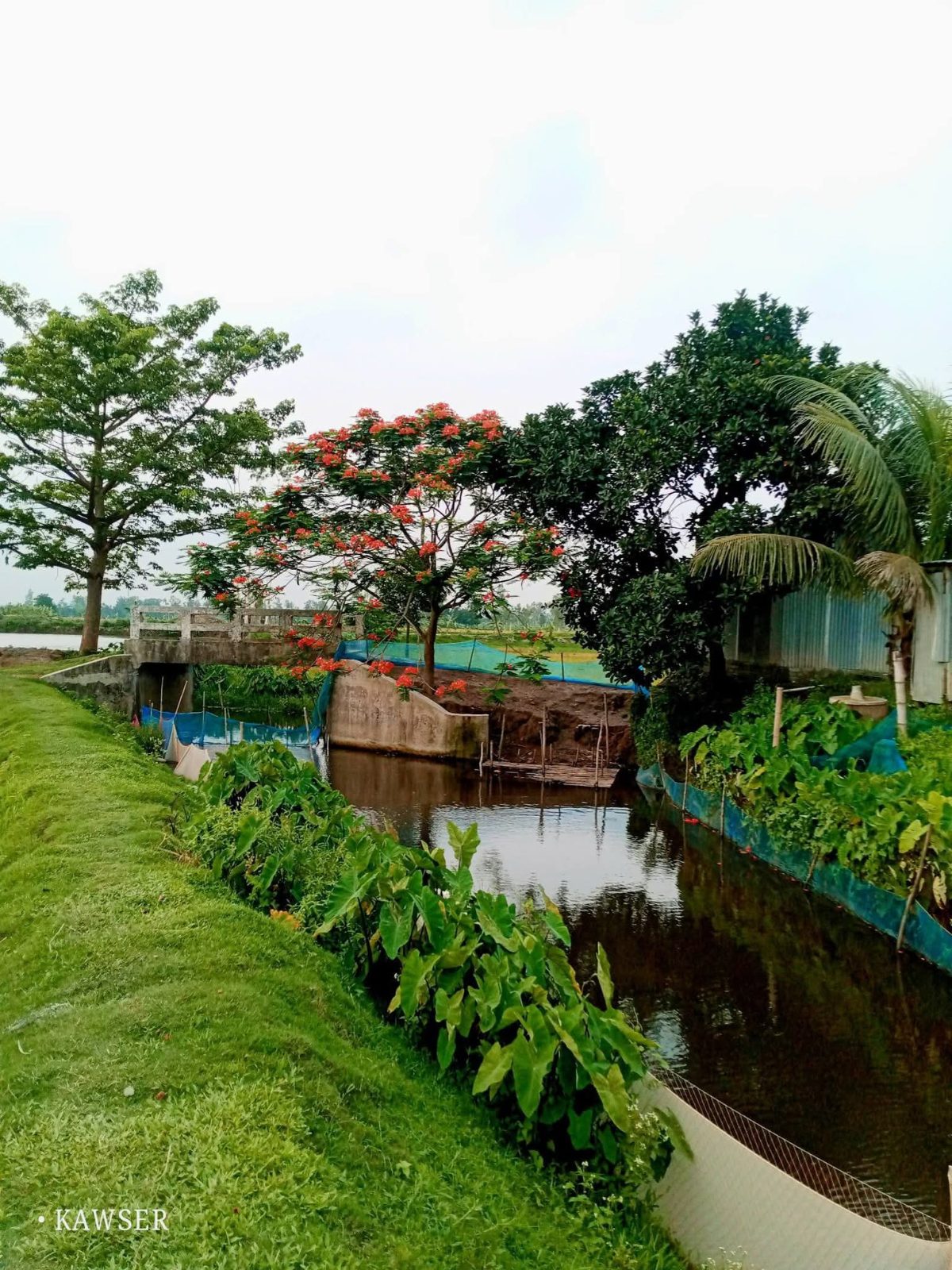 বেঁতুয়া ব্রীজ: ছবি ৯