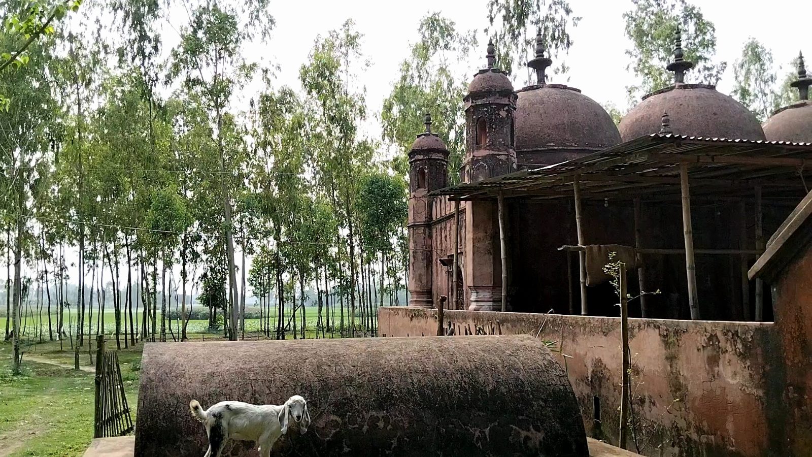 নিদাড়িয়া মসজিদ: ছবি ২