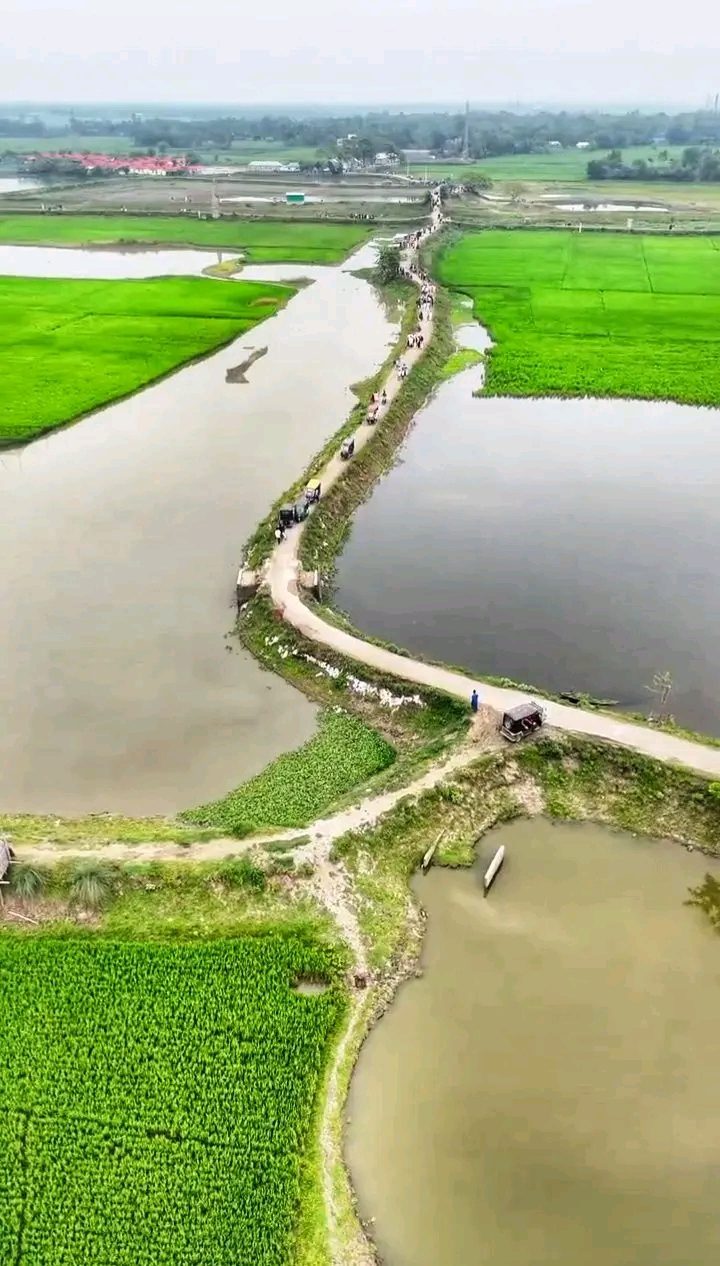 ডালপা বিল: ছবি ২