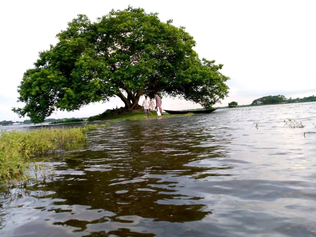 ডালপা বিল: ছবি ৪