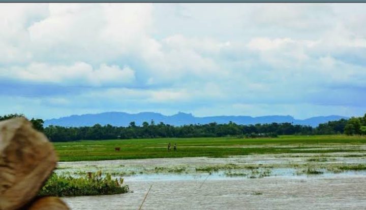কালা পাহাড় (সিলেট বিভাগের সর্বোচ্চ পর্বতশৃঙ্গ): ছবি ৮
