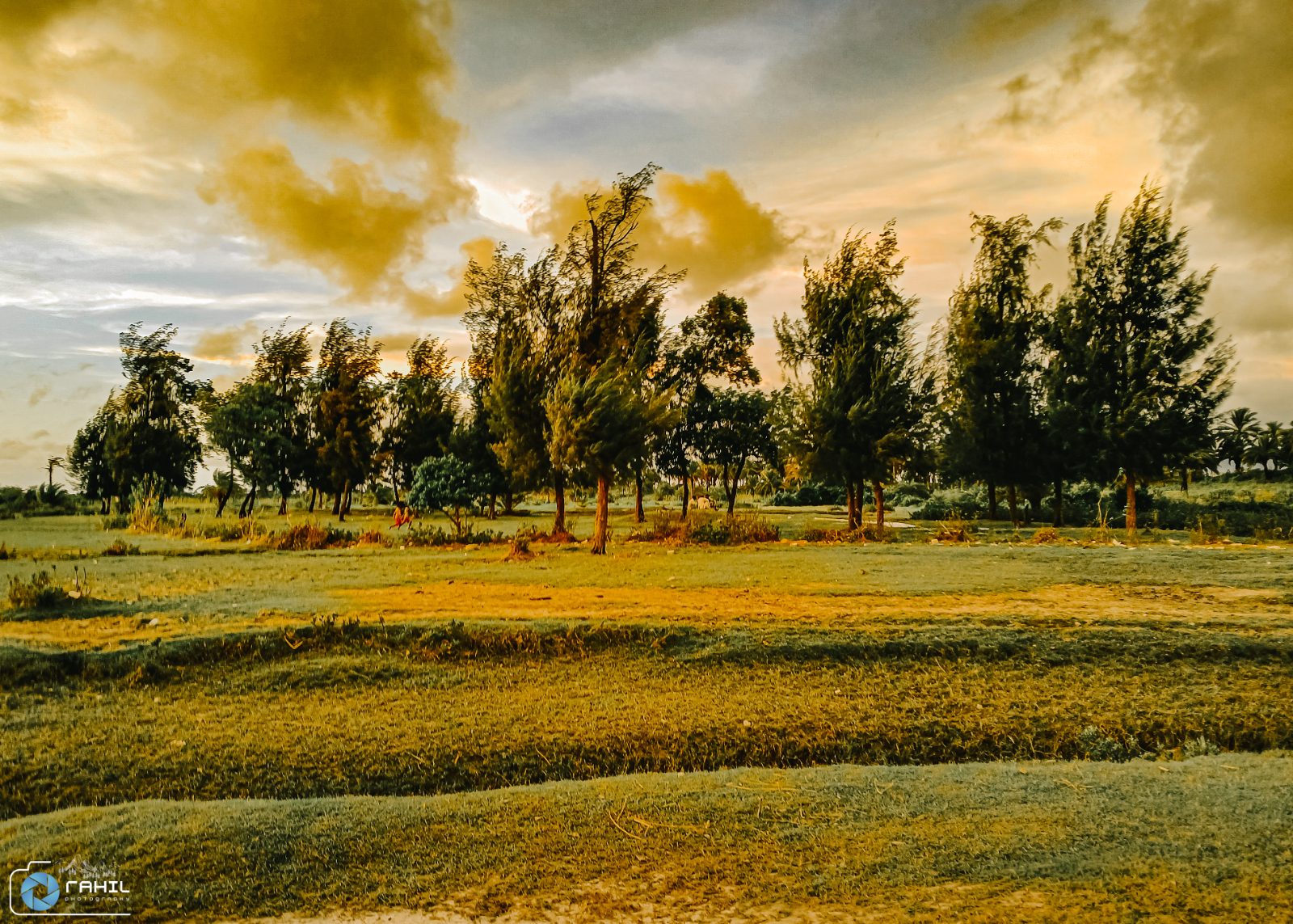 নডালিয়া সৈকত: ছবি ২