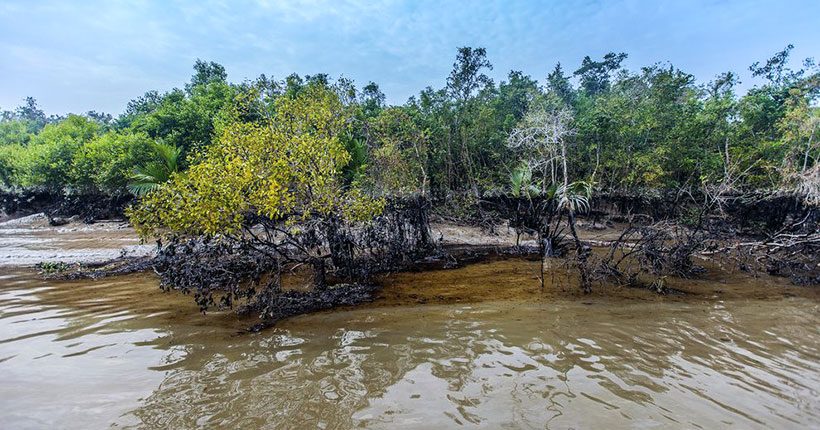 মান্দারবাড়িয়া সমুদ্র সৈকত: ছবি ৩