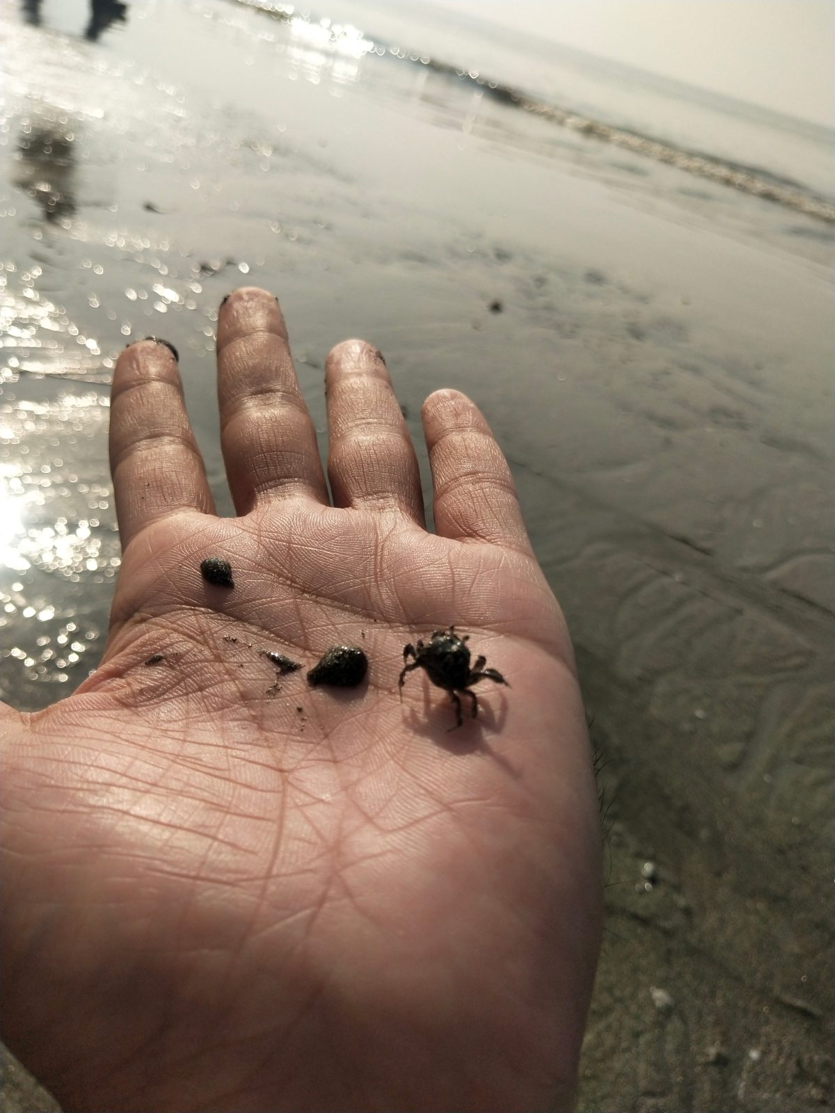 মান্দারবাড়িয়া সমুদ্র সৈকত: ছবি ৫