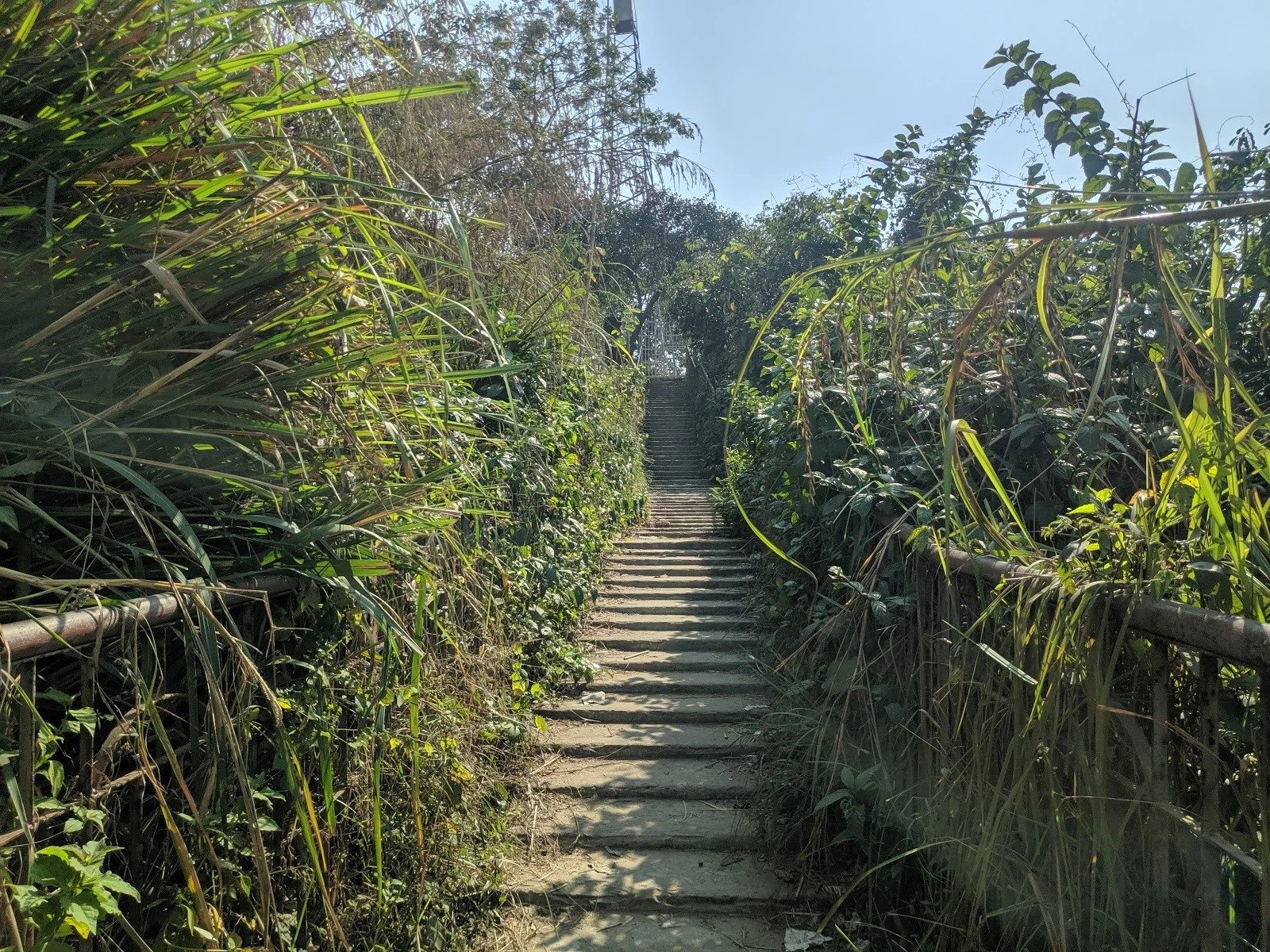 বাটালী হিল: ছবি ৩