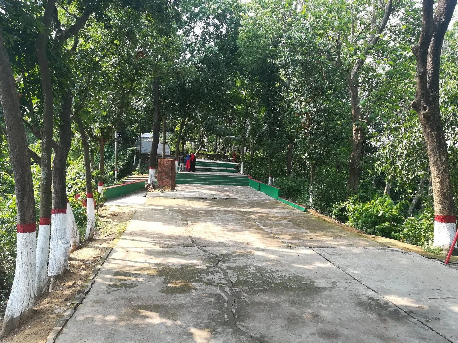 বাটালী হিল: ছবি ৪