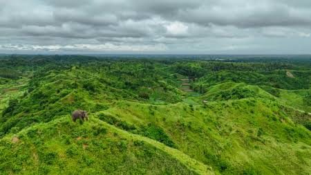 মিনি কাশ্মীর: ছবি ৩