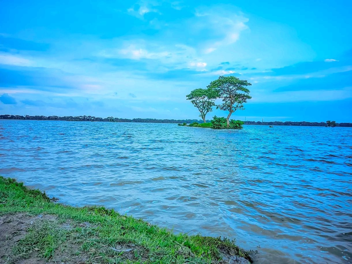 হারবা বিল: ছবি ৪