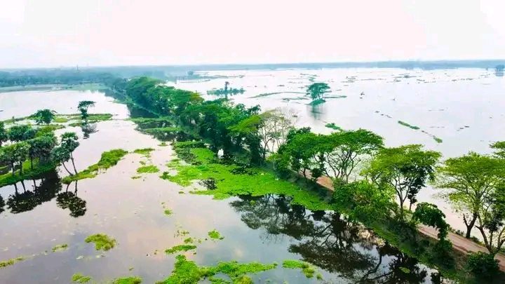 হারবা বিল: ছবি ৬