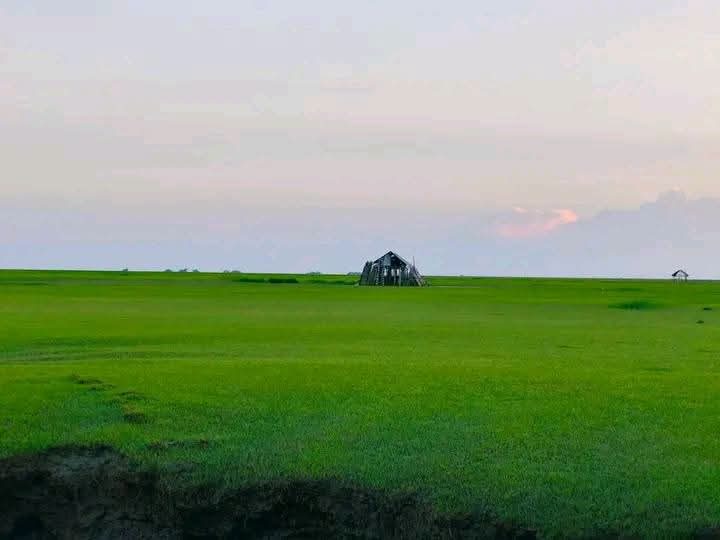 চর আবদুল্লাহ: ছবি ৩