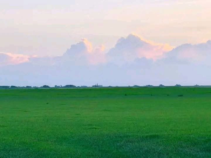 চর আবদুল্লাহ: ছবি ৫