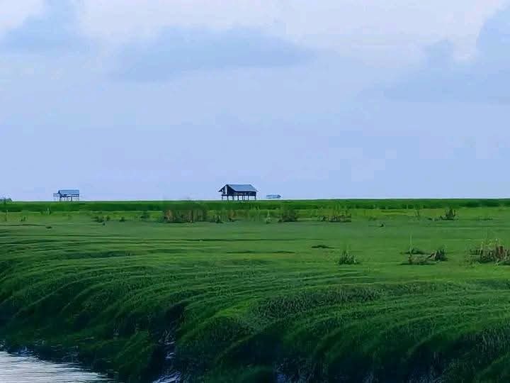 চর আবদুল্লাহ: ছবি ৭