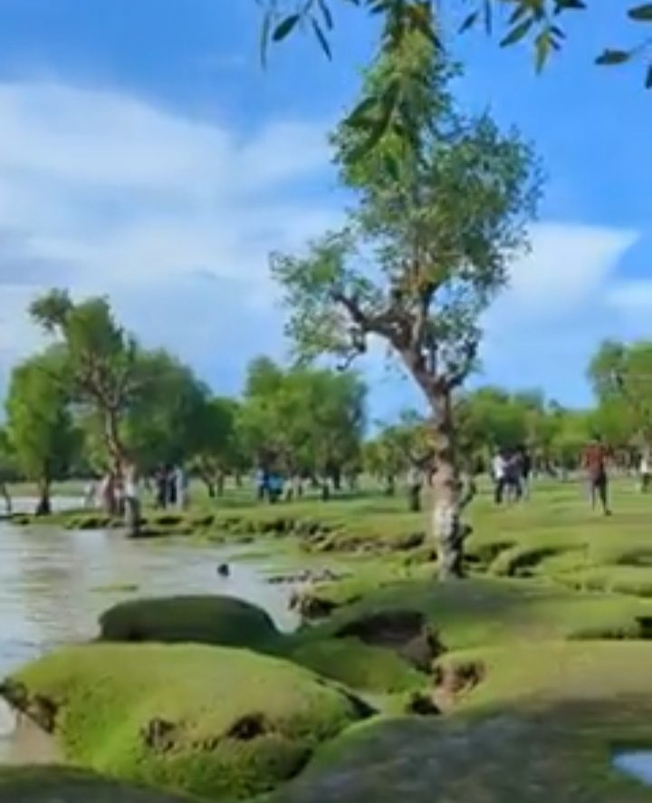 নিদ্রার চর (নিদ্রা সমুদ্র সৈকত/ডিসি পয়েন্ট): ছবি ৩