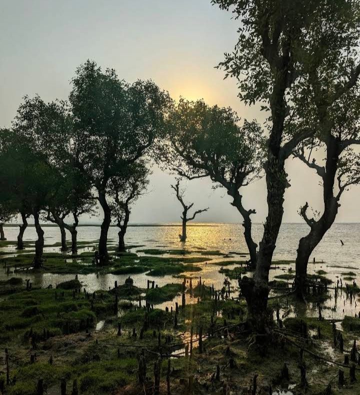 নিদ্রার চর (নিদ্রা সমুদ্র সৈকত/ডিসি পয়েন্ট): ছবি ৪