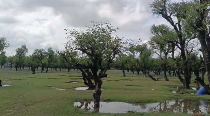 নিদ্রার চর (নিদ্রা সমুদ্র সৈকত/ডিসি পয়েন্ট): ছবি ৫