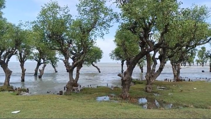 নিদ্রার চর (নিদ্রা সমুদ্র সৈকত/ডিসি পয়েন্ট): ছবি ৮