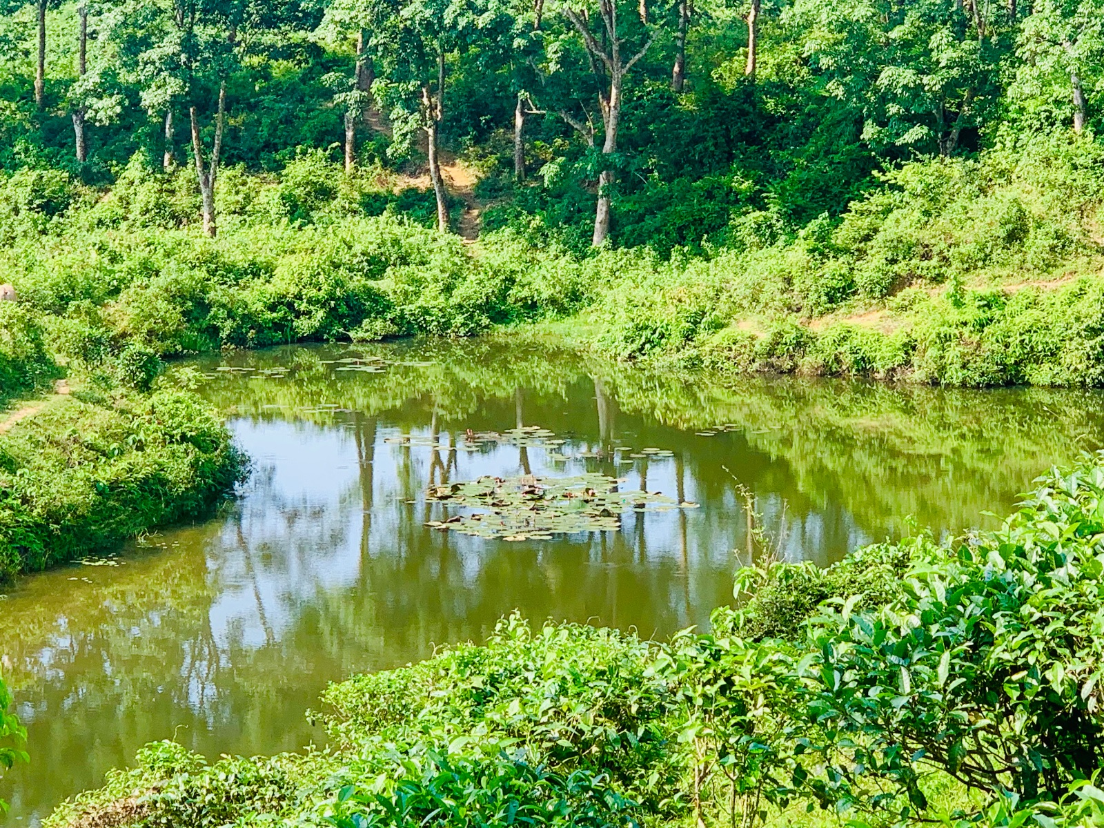 বেকি লেক, দক্ষিণভাগ (৩২৫২), উপজেলা : বড়লেখা, মৌলভীবাজার