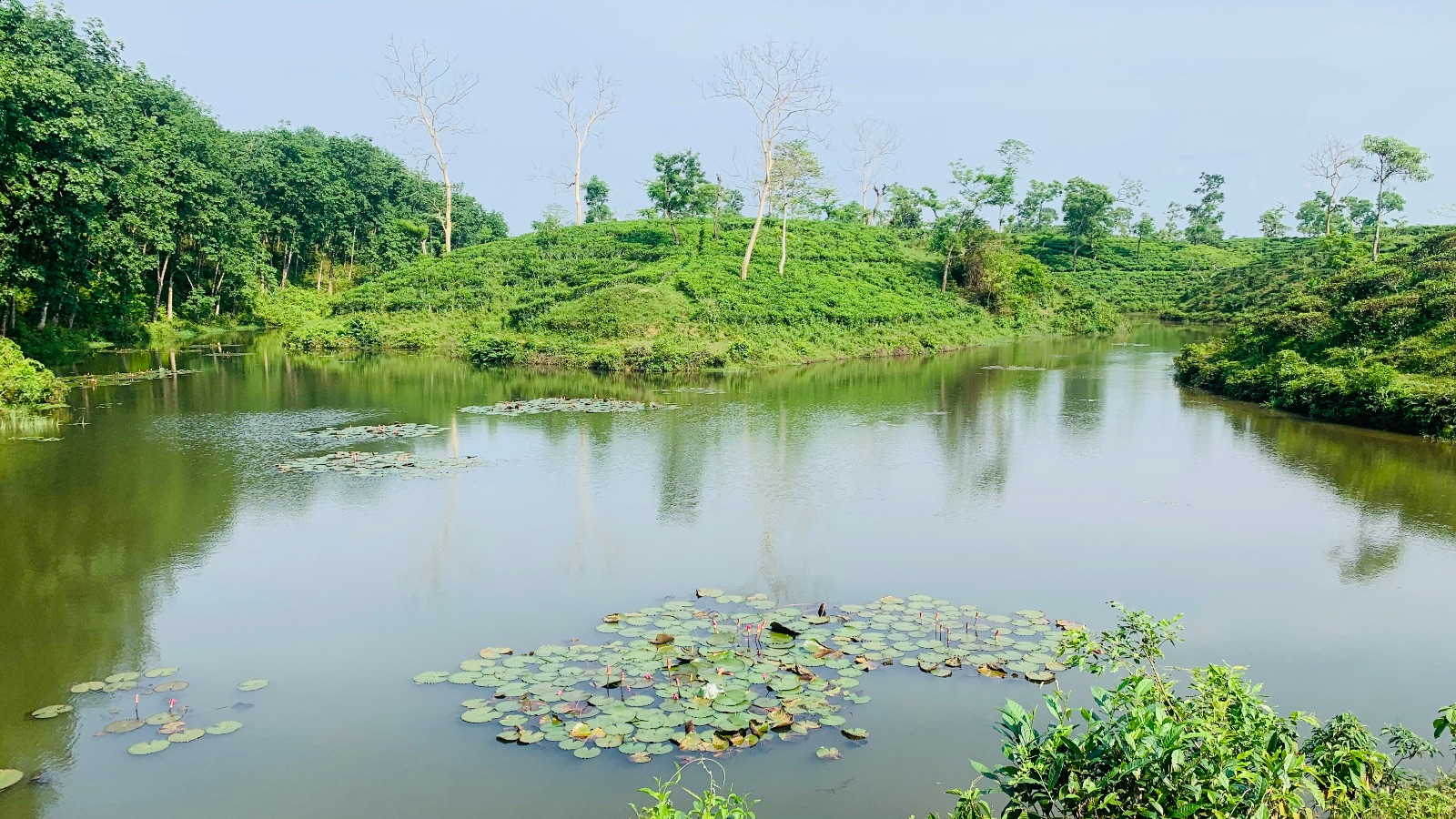 বেকি লেক: ছবি ২